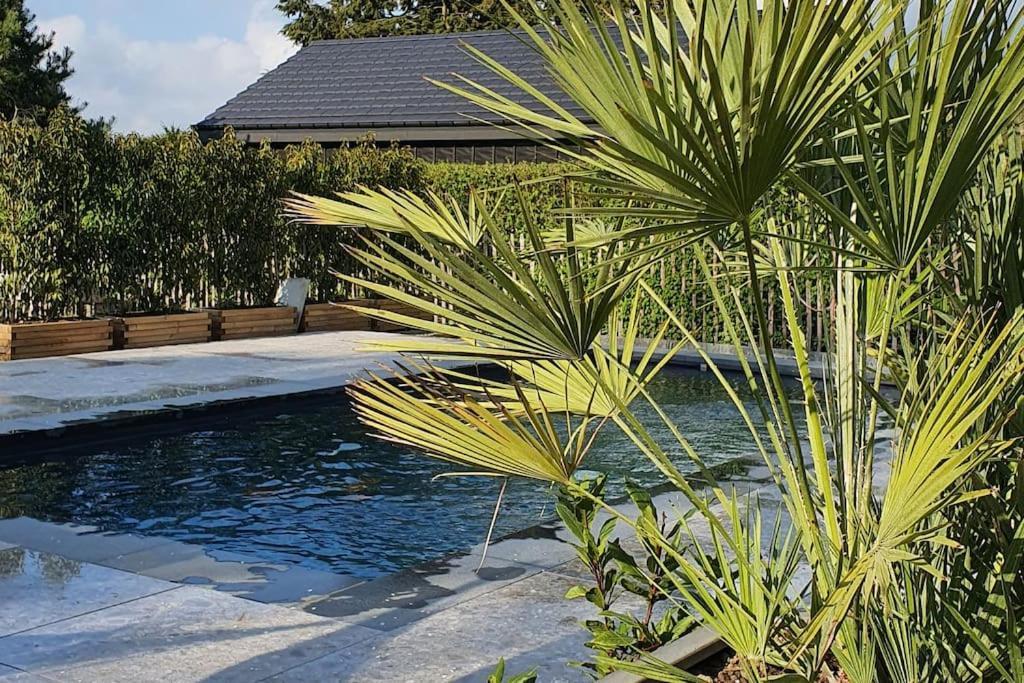 Pine Cottage- 5 Minutes Francorchamps - Charme -Piscine-Calme-Jardin Sart (Liege) Exterior foto